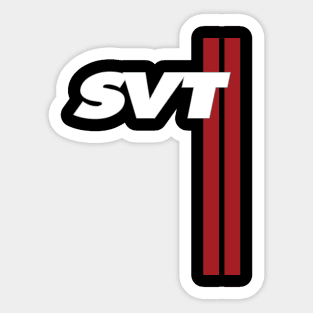 Mustang SVT Cobra RAPTOR USA SPECIAL VEHICLE TEAM RACING STRIPES Sticker